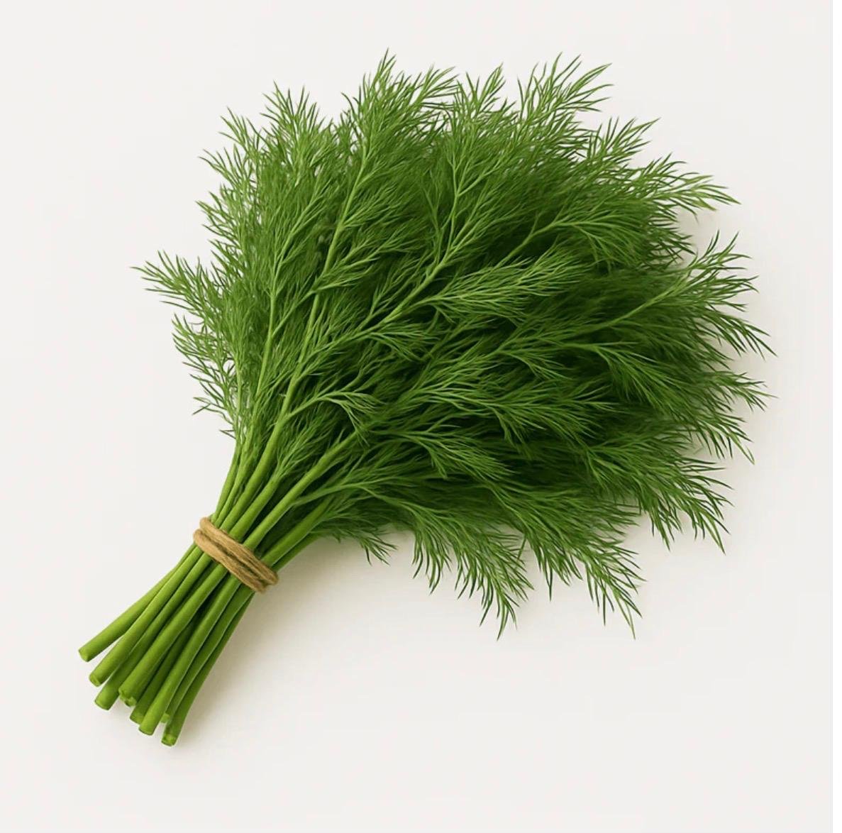 e0ca0a52174aba99716cb5fb