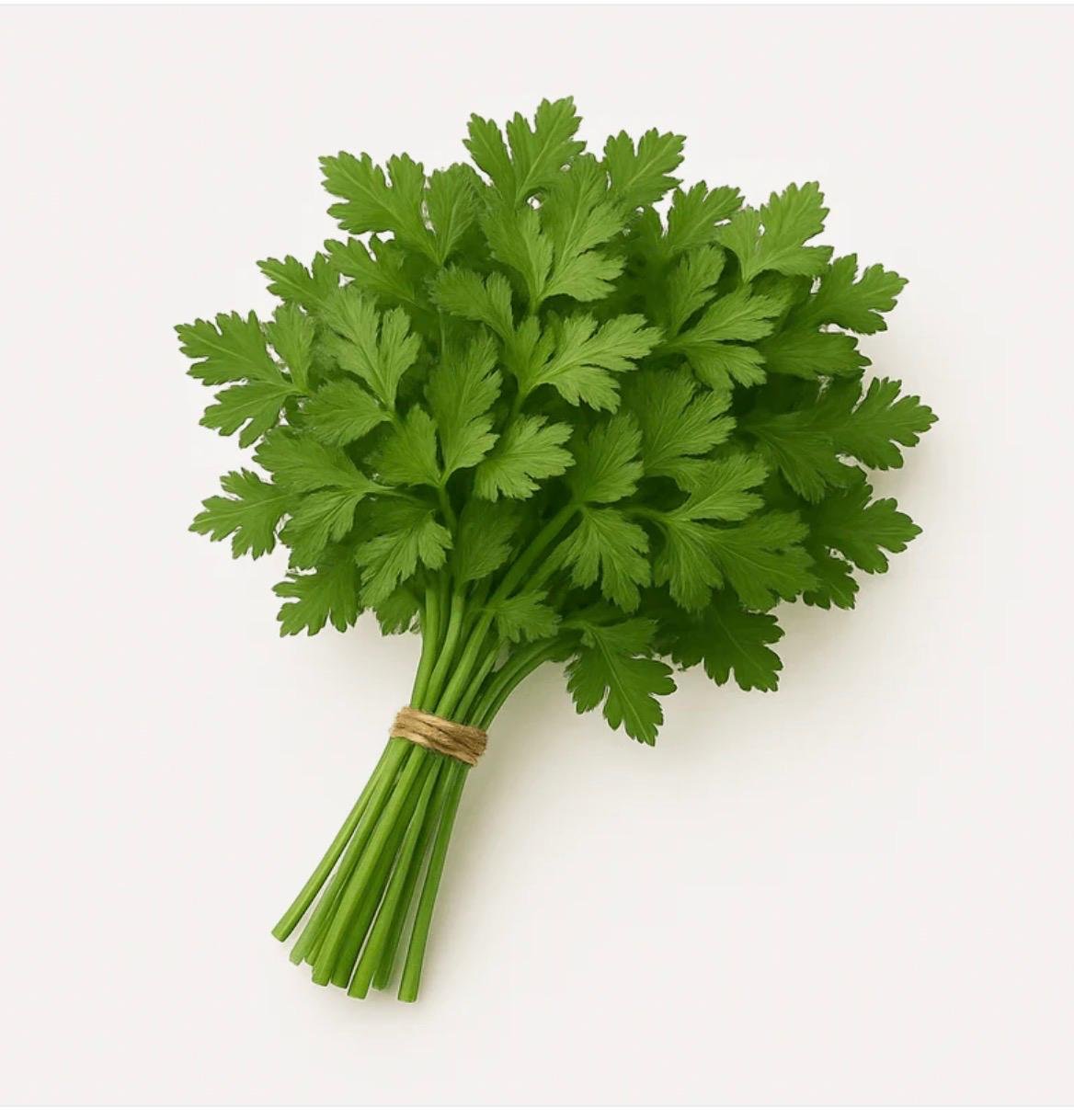 بقدونس اخضر - PARSLEY BUNCH