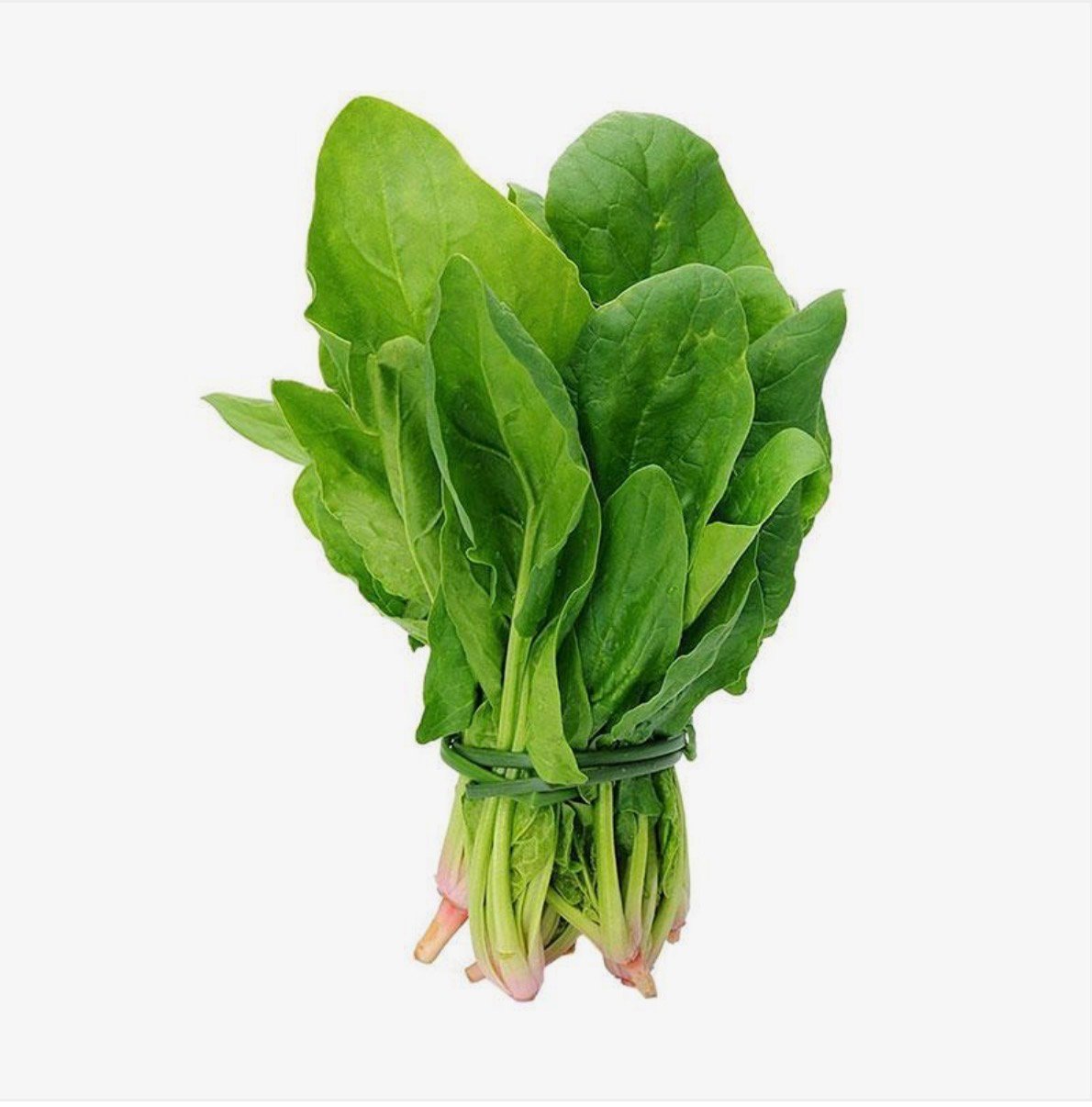 SPINACH LEAVES BUNCH